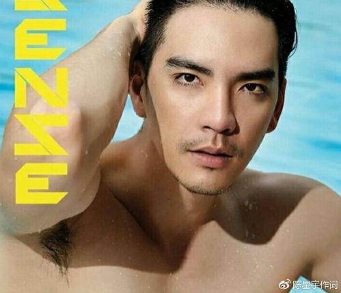 泰国明星new,闪耀星途，魅力无限