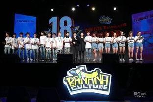 香蕉娱乐总决赛,巅峰对决，星光熠熠