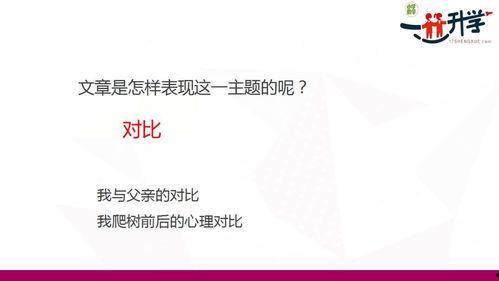 绿色通道背景音乐,绿色通道旋律下的温馨旅程